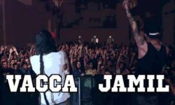Fuori il Documentario di Vacca e si dà il via al Nella Terra di Bob Tour