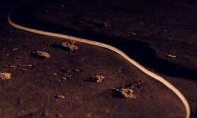 Non Cambi Mai di Louis Dee Teaser