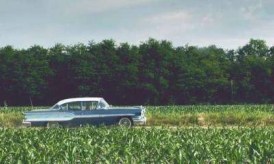 S.A.L.M.O. il Video di Salmo prodotto da Big Joe